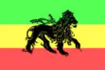 lion4.jpg