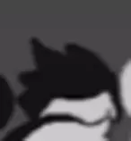 davekat.png