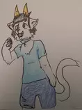shiba-.jpg