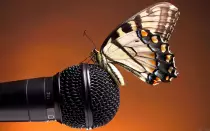 Images/butterfly.jpg