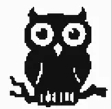 Pages/Modulo 2 /Obligatorio/Owl-300px.png