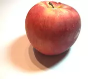 apple-1328768.jpg