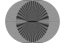 img/CircleMoire.png