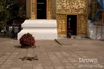 images/large/southeast_asia/temple_scene.jpg