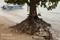 images/print/pattaya/new_dream.jpg