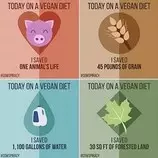 vegan.jpeg