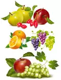 img/Frutas.jpg