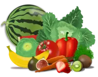 img/Vegetales.png