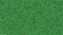 images/projects/gameoflife.png