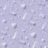 purp.jpg