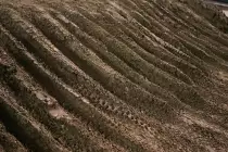 ruts4.jpg