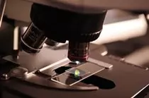 images/science.jpg