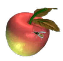 applewasp.gif