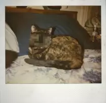 i miss you.jpg
