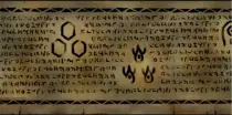 Wiki-background.jpg