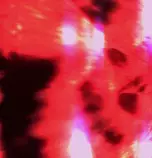 in.gif