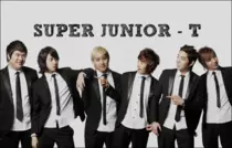SJTWikiBanner.png
