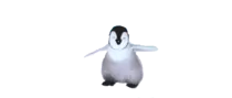 dancing.gif