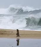 se.jpg