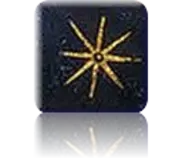 images/OMPH_STAR.png
