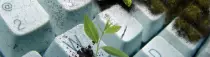 images/home_Img8.png