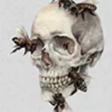 images/eawtwattwat.png