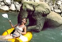 images/rafting.jpg