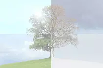 images/seasons-of-the-year.jpg