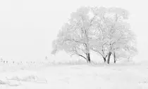 images/winter.jpg