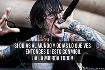 img/galeria/suicide.jpg