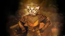 cat background knights.jpg