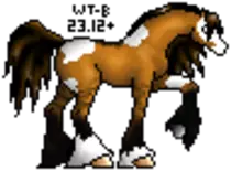 stallions/meep05.gif