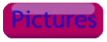 pictures/pictures1.png