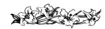 line11.png