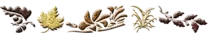 line8.gif