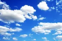 bodyBackground1.jpg