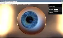 images/eyeball.jpg