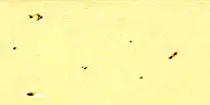 images/sunmap.jpg