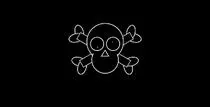 pirateFlag.jpg