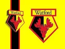 watfordFlag.jpg
