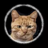 avatar.png