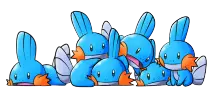 mudkip.jpg
