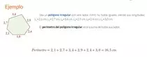 img/poligonoirregularr.jpg