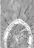 images/pmg1_24.png