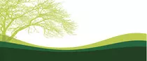 Images/TRI-Banner-background.jpg