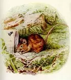 flopsy3.jpg