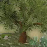 portfolio3d/thumbs/3d_plants1_thumb.jpg