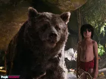jungle.jpg