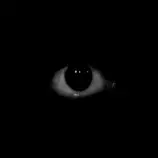 eye.gif