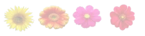 sitebanner.png